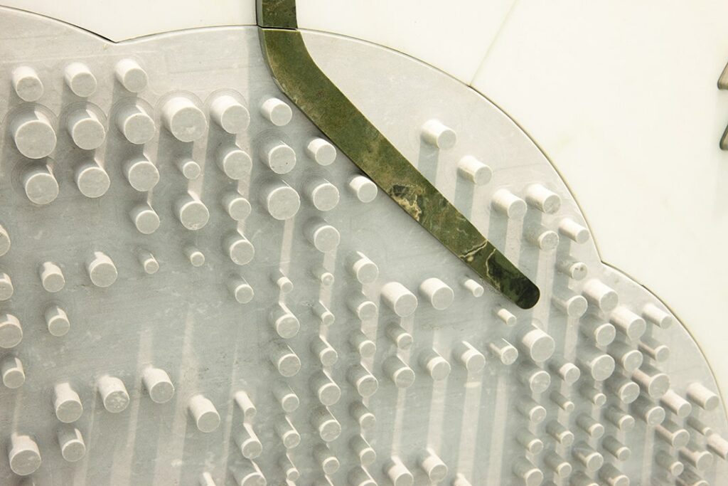 macrosterias-floor-inlay-09