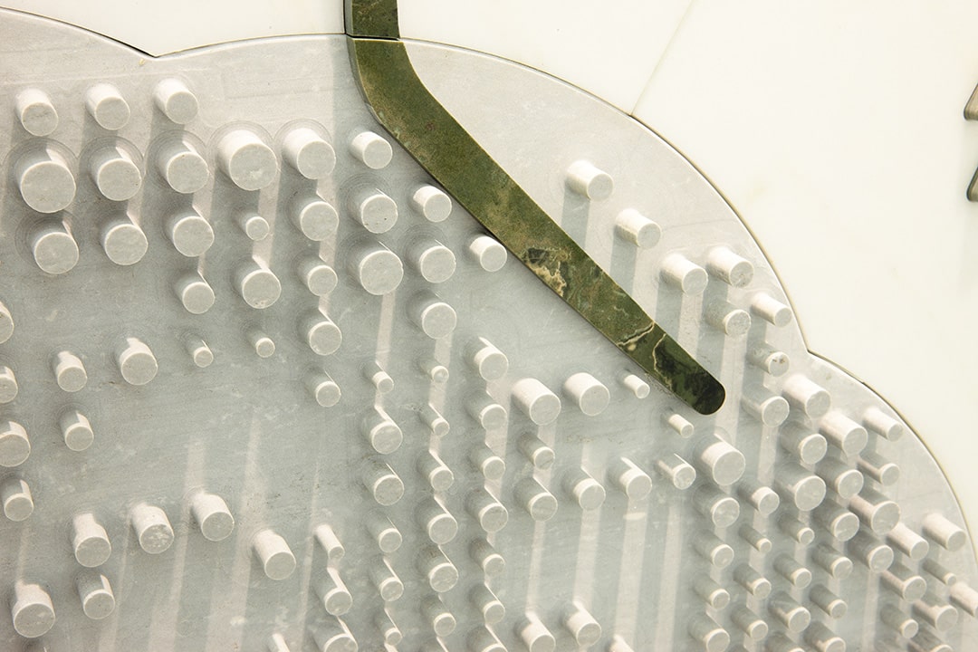 macrosterias-floor-inlay-09