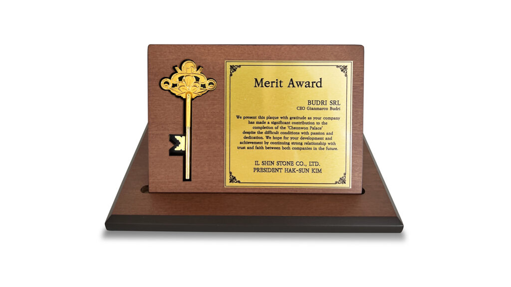 merit award budri
